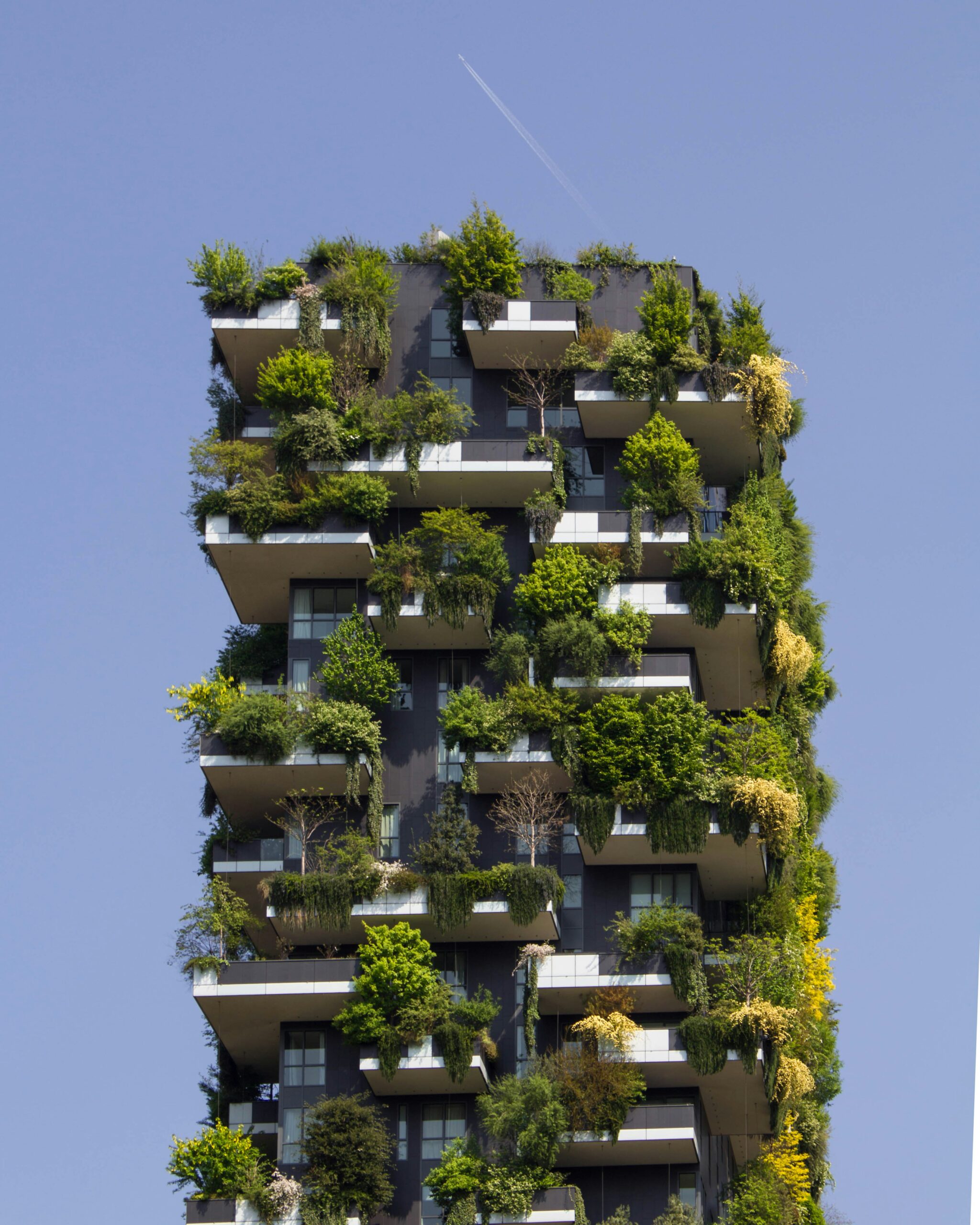 victor-0NJ9urGXrIg-unsplash balcon arboré végétation décorative